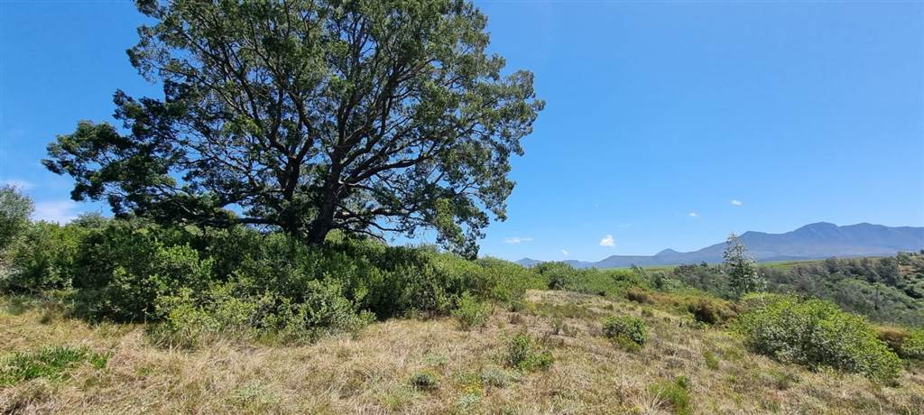 64 ha Land available in Sedgefield photo number 20