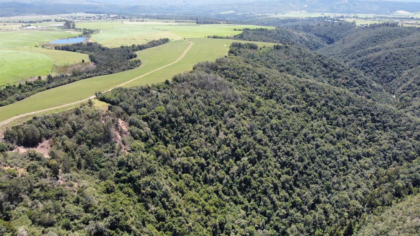 64 ha Land available in Sedgefield photo number 9