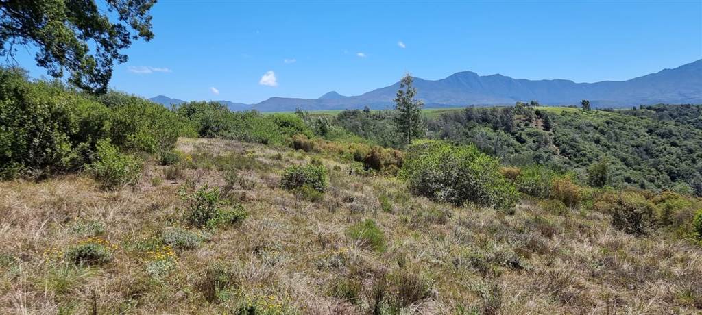 64 ha Land available in Sedgefield photo number 25