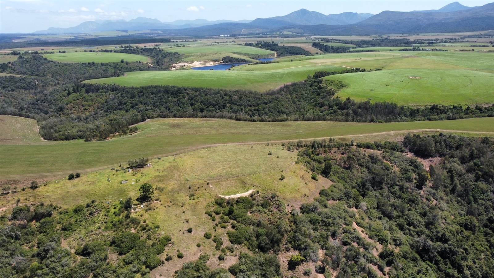 64 ha Land available in Sedgefield photo number 7