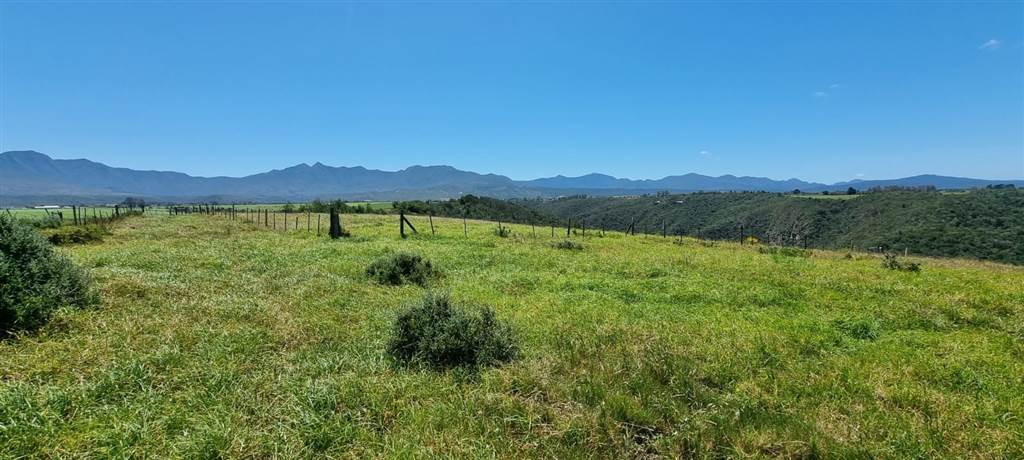 64 ha Land available in Sedgefield photo number 19