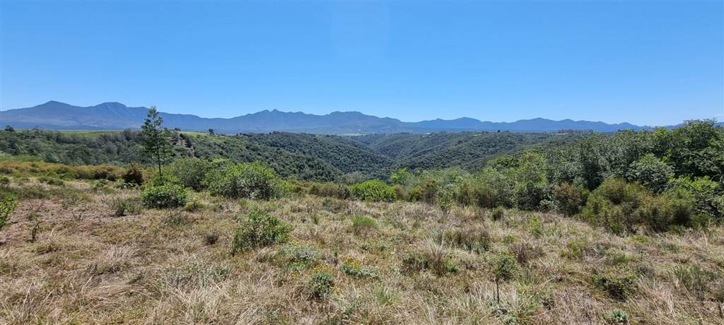 64 ha Land available in Sedgefield photo number 23