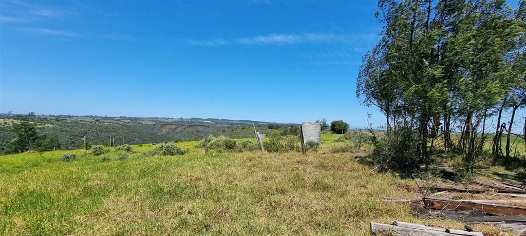 64 ha Land available in Sedgefield photo number 24