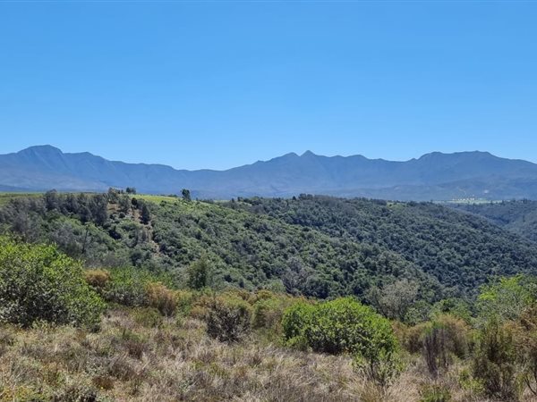 64 ha Land available in Sedgefield