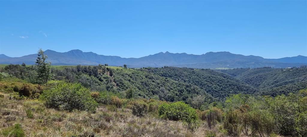 64 ha Land available in Sedgefield photo number 1