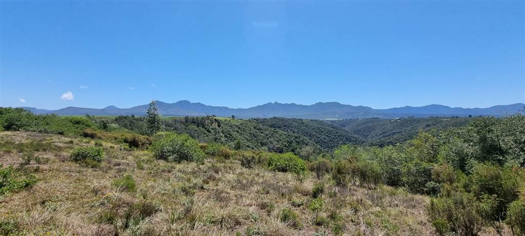 64 ha Land available in Sedgefield photo number 11