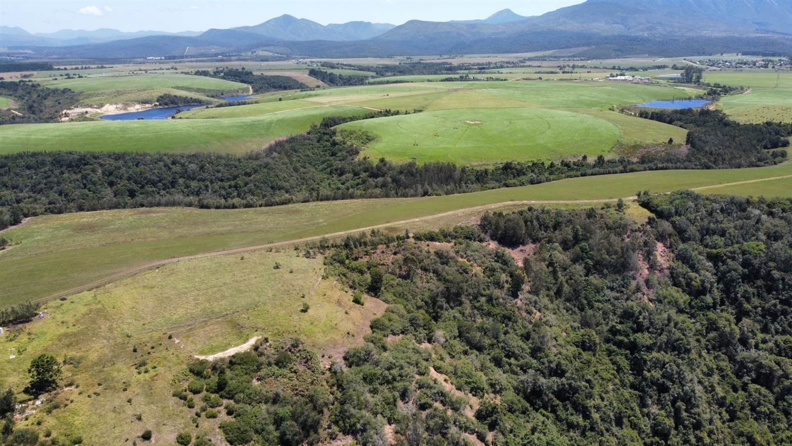 64 ha Land available in Sedgefield photo number 18