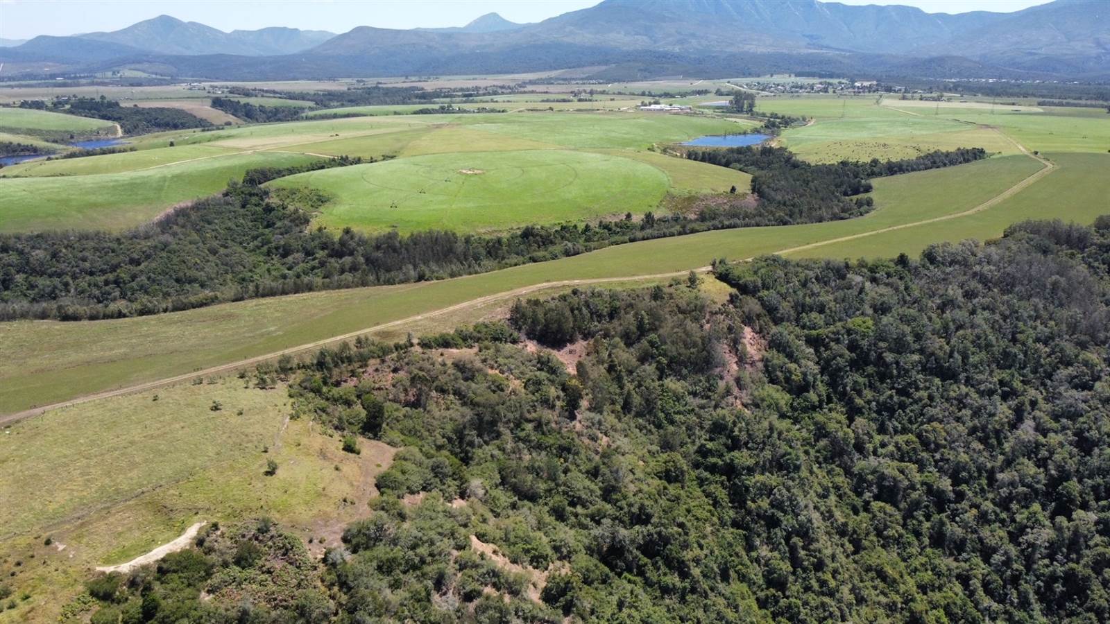 64 ha Land available in Sedgefield photo number 8