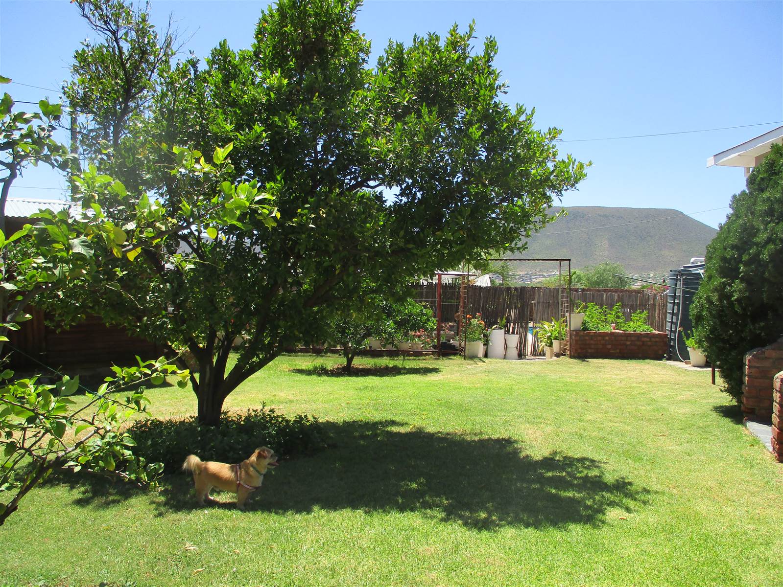 5 Bed House in Graaff Reinet photo number 22