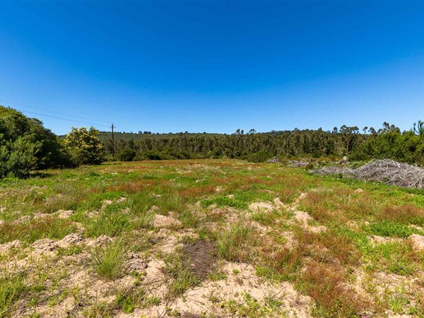 35.6 ha Land available in Sedgefield