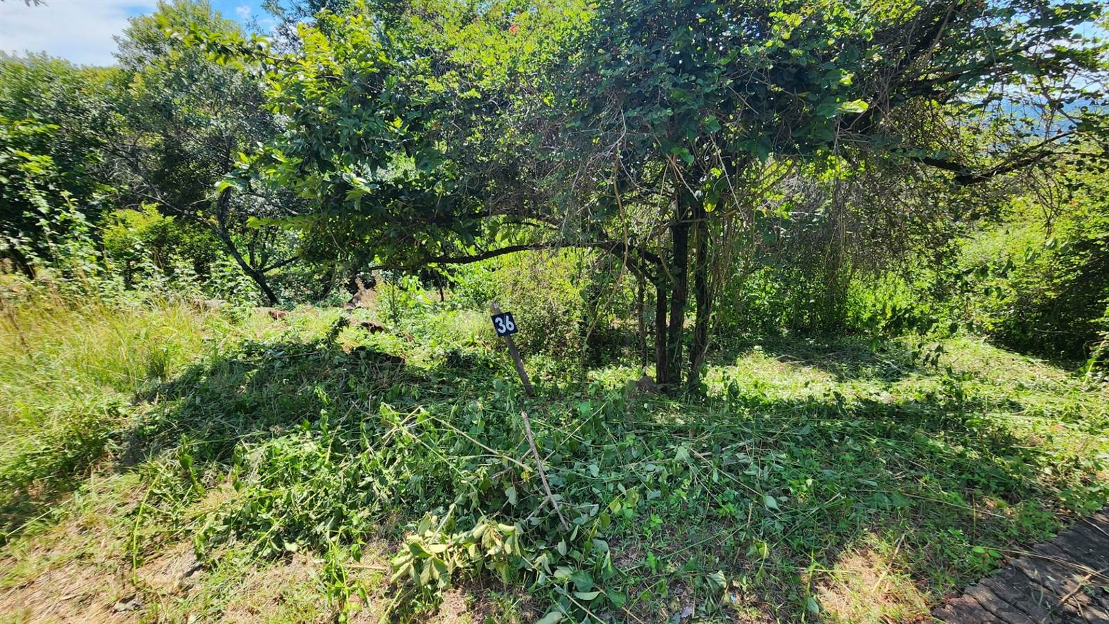 6242 m² Land available in Hazyview photo number 7