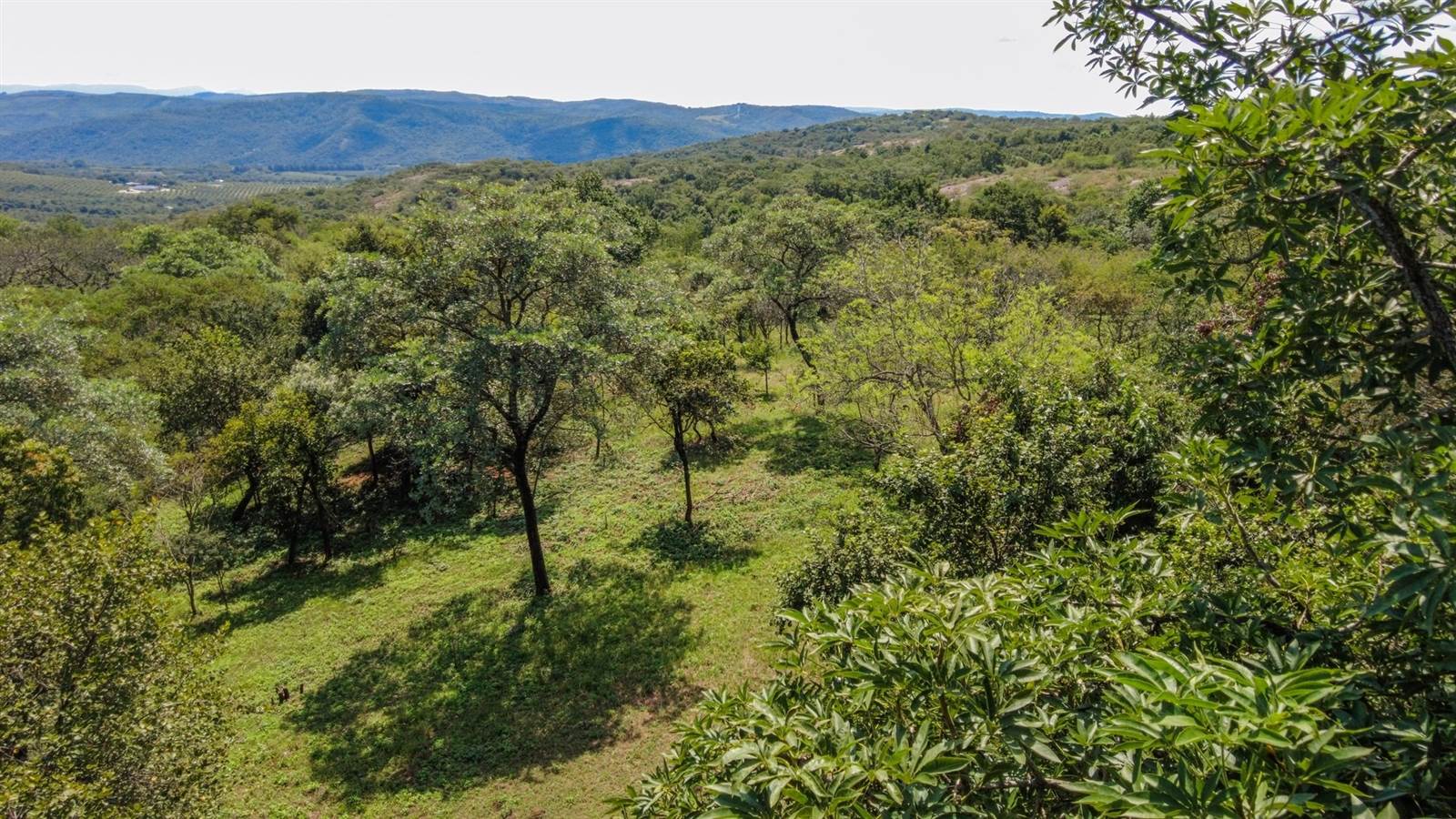 6242 m² Land available in Hazyview photo number 14
