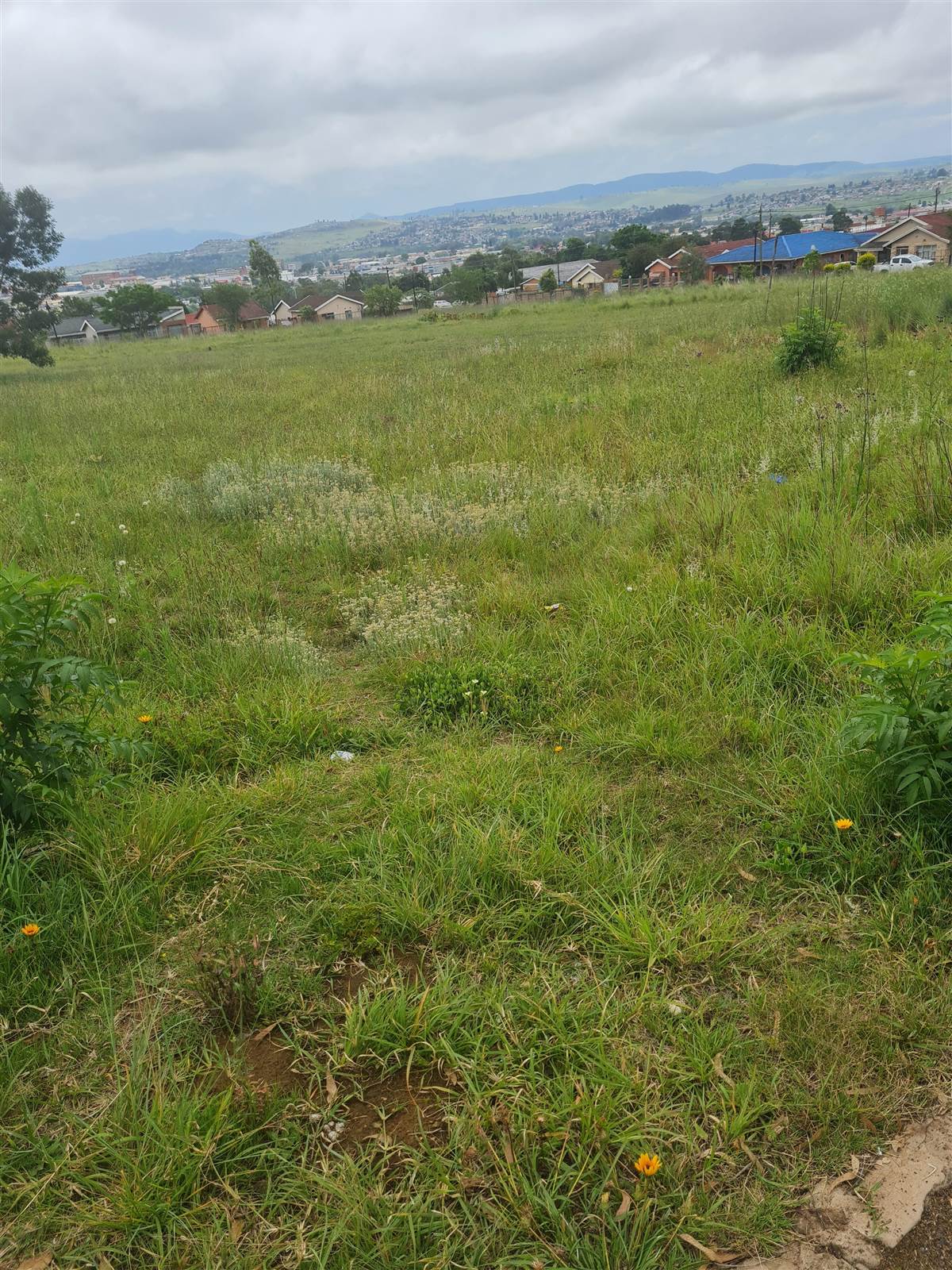 482 m² Land available in Mthata photo number 13
