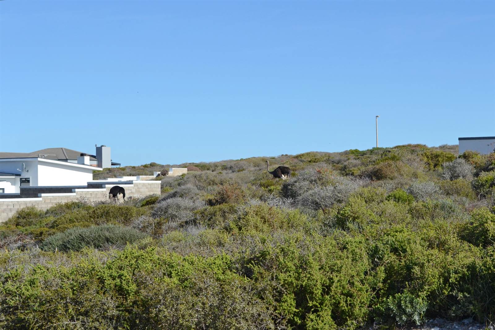 700 m² Land available in Yzerfontein photo number 7