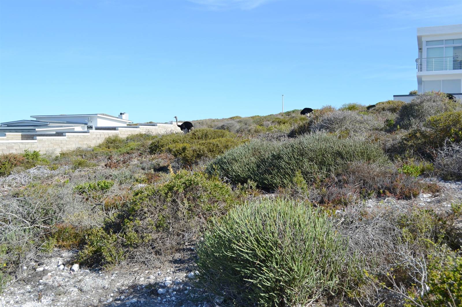 700 m² Land available in Yzerfontein photo number 4