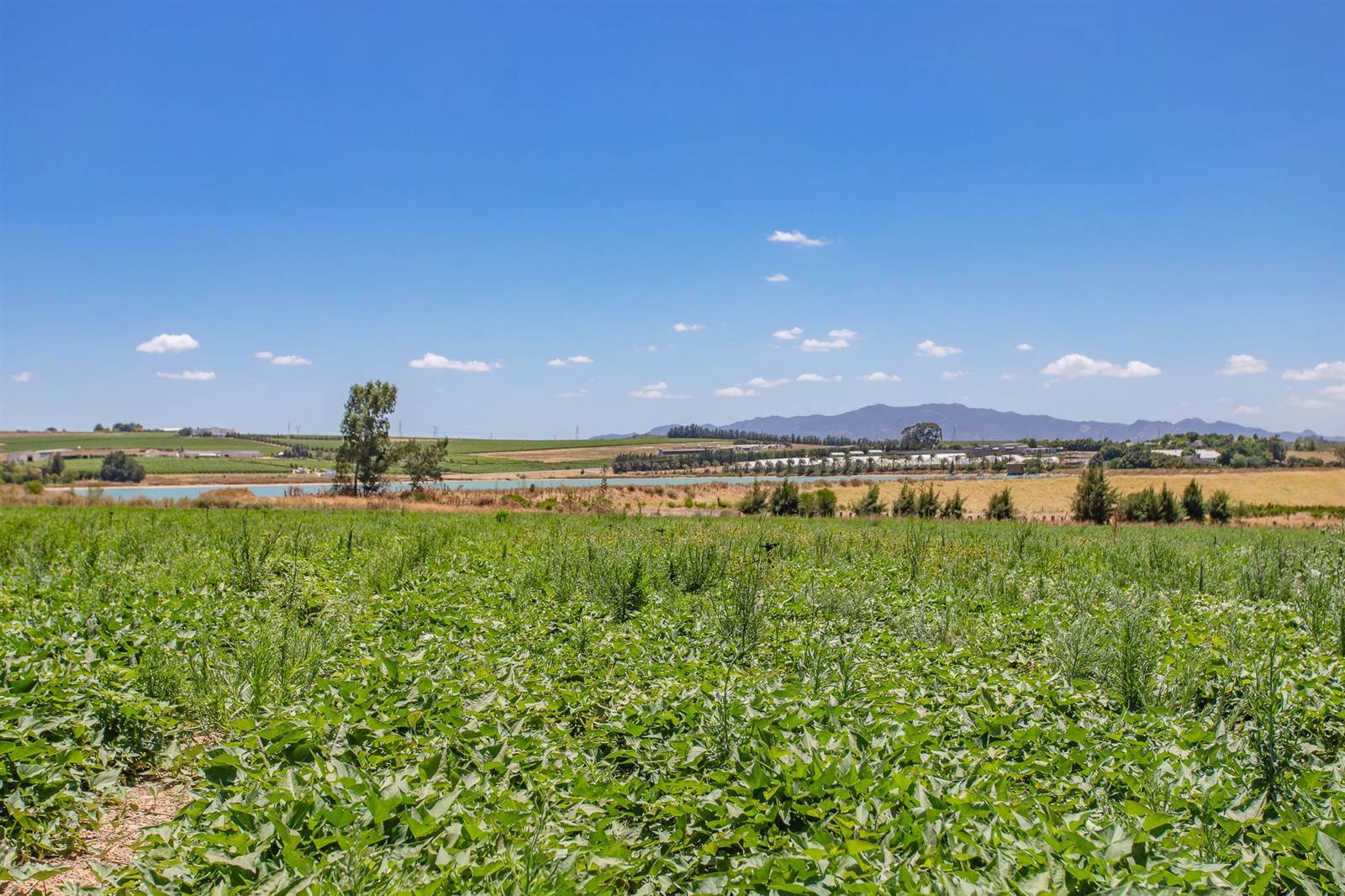 16.8 ha Farm in Northern Paarl photo number 15