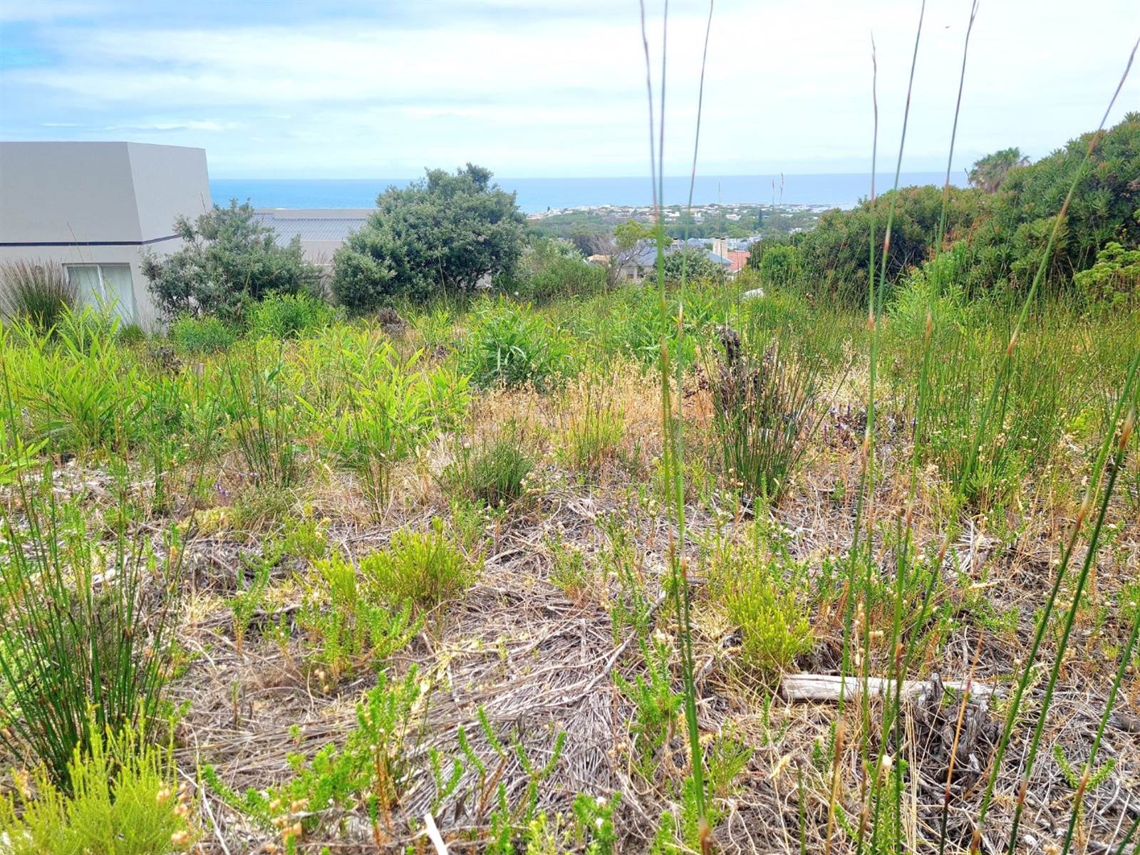 1342 m² Land available in Chanteclair photo number 6