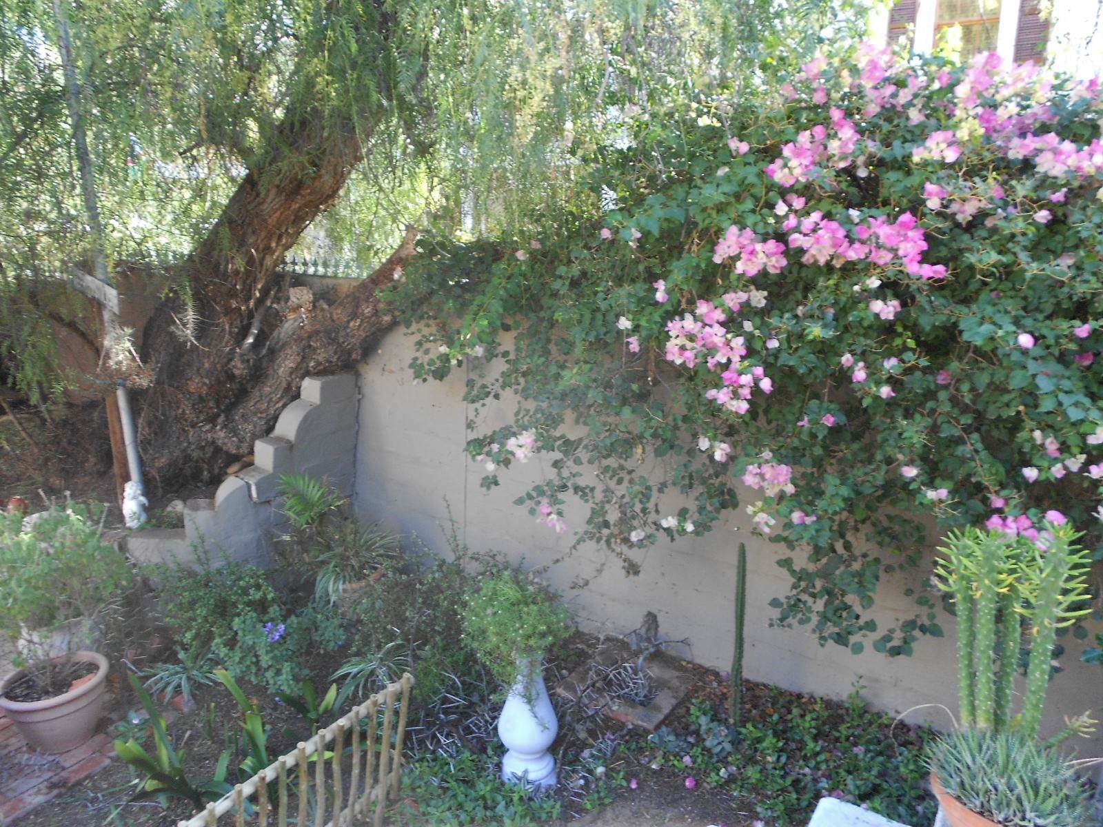 4 Bed House in Calitzdorp photo number 30