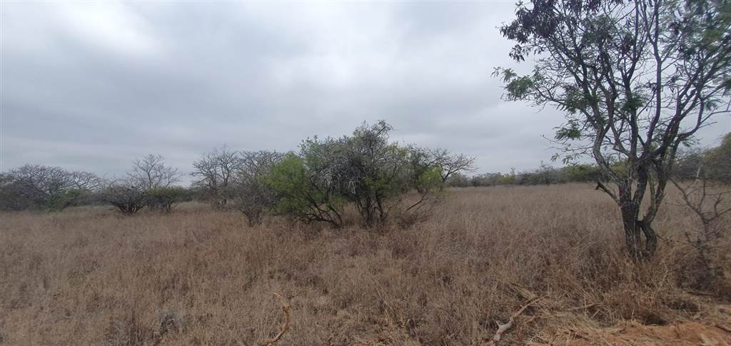 9 ha Land available in Tweefontein photo number 5