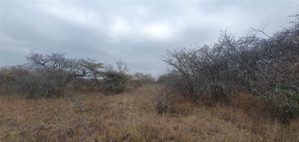 9 ha Land available in Tweefontein photo number 11