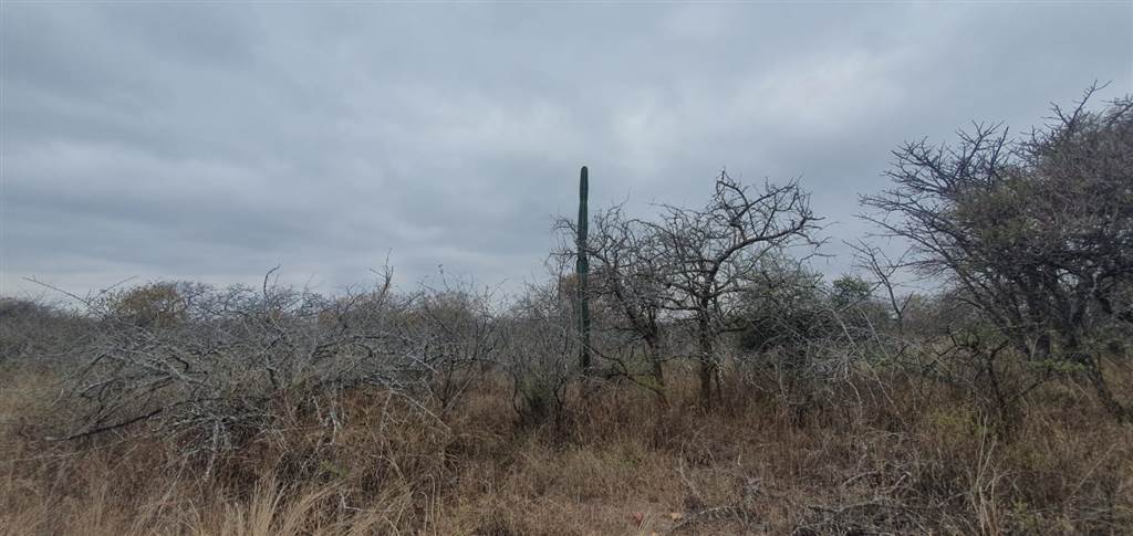 9 ha Land available in Tweefontein photo number 8