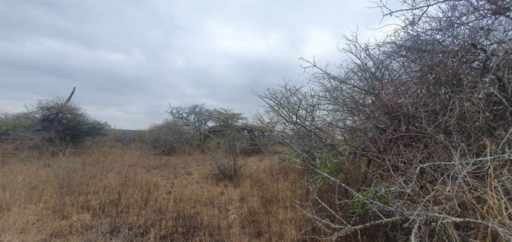 9 ha Land available in Tweefontein photo number 10