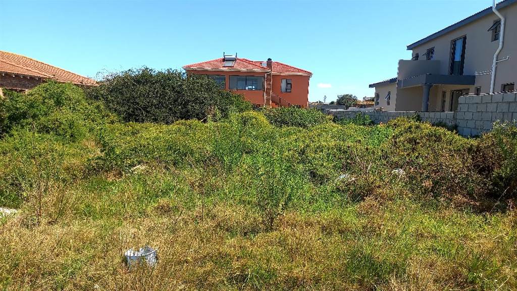 504 m² Land available in Amsterdamhoek photo number 10