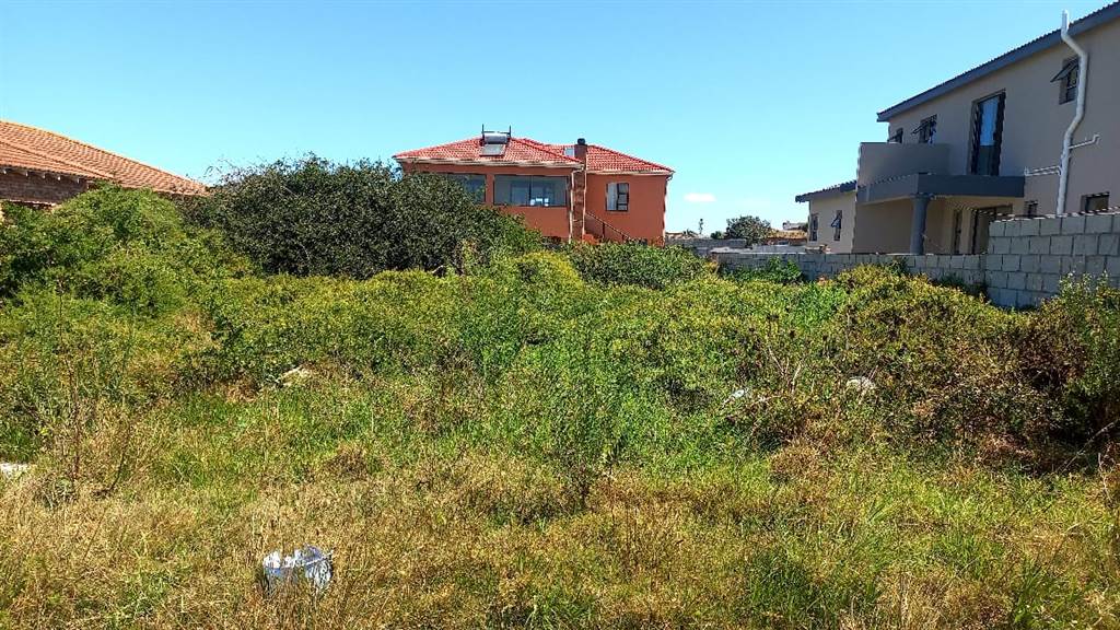 504 m² Land available in Amsterdamhoek photo number 7