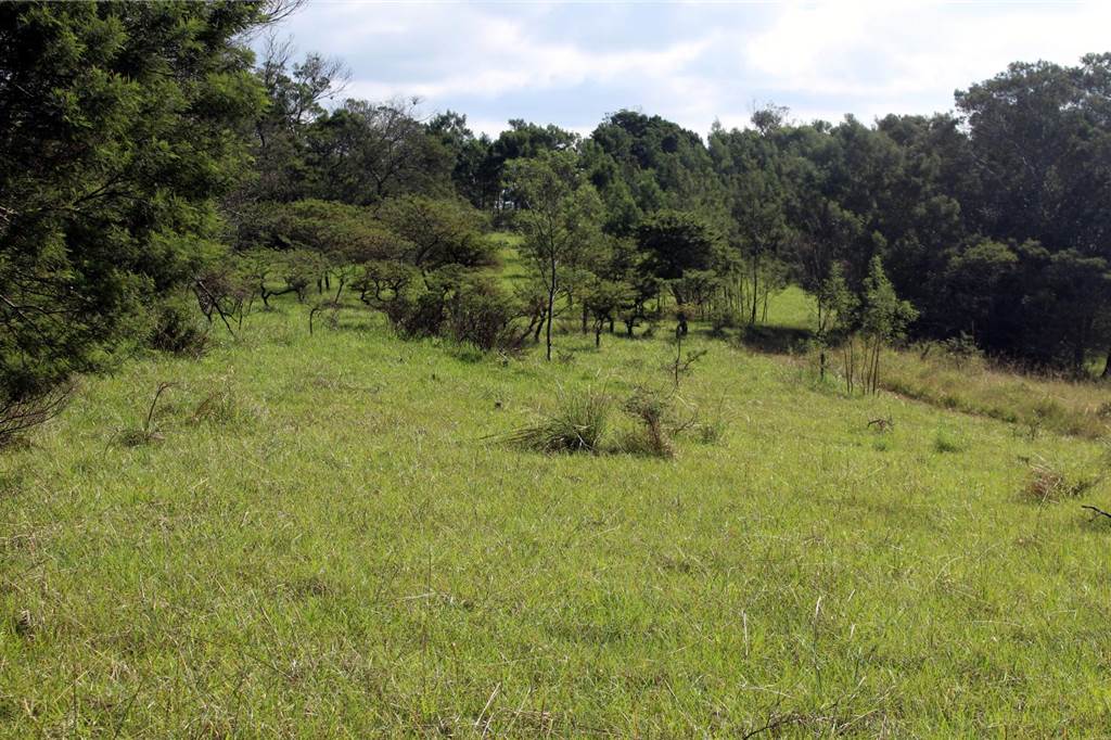 108 ha Farm in Kei Mouth photo number 13