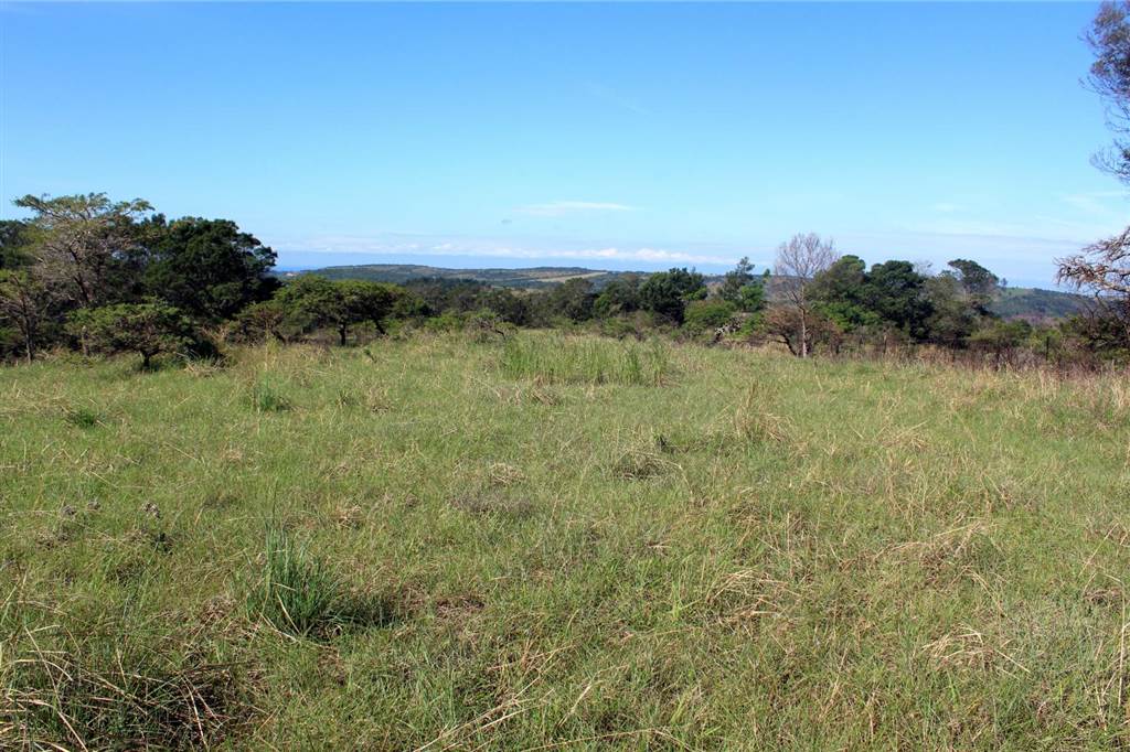 108 ha Farm in Kei Mouth photo number 4