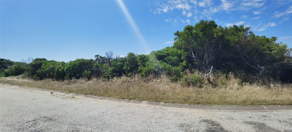830 m² Land available in St Francis Bay photo number 11