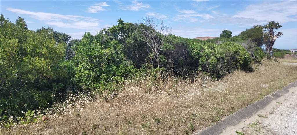 830 m² Land available in St Francis Bay photo number 9