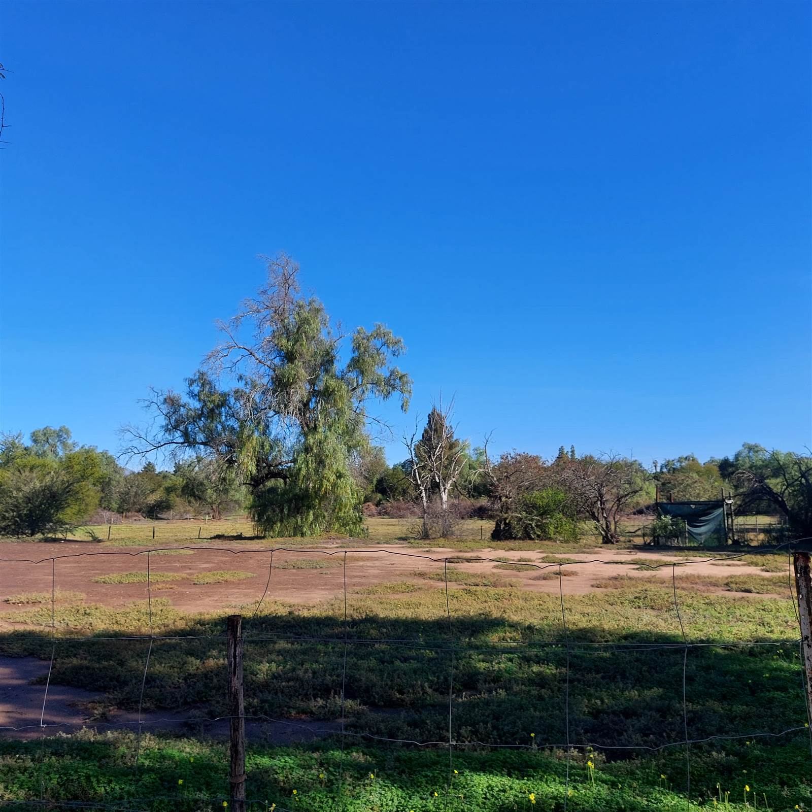 9700 m² Land available in Oudtshoorn Central photo number 9