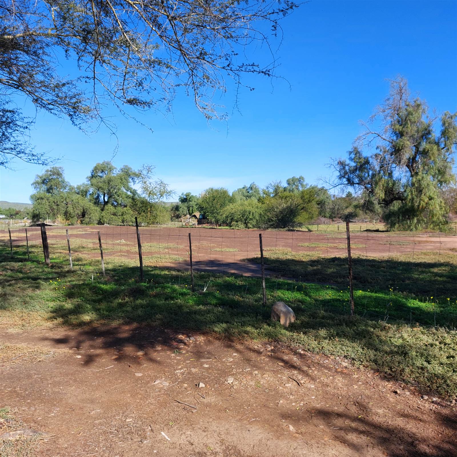 9700 m² Land available in Oudtshoorn Central photo number 13