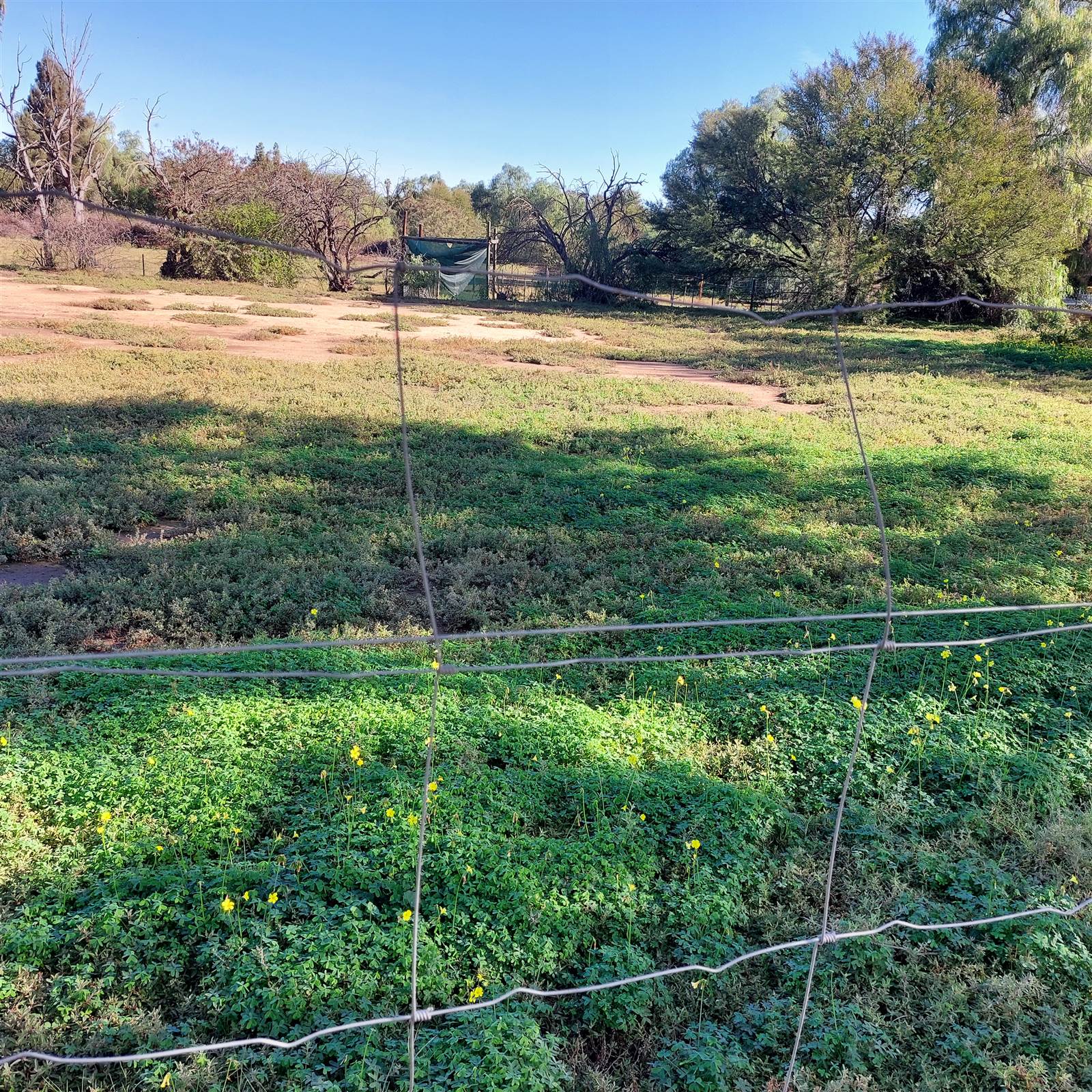 9700 m² Land available in Oudtshoorn Central photo number 15