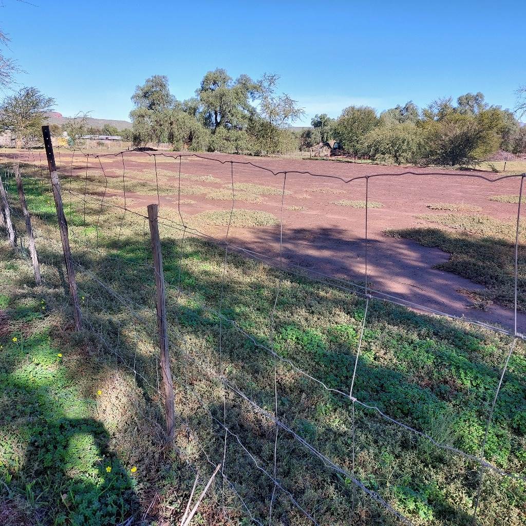 9700 m² Land available in Oudtshoorn Central photo number 6