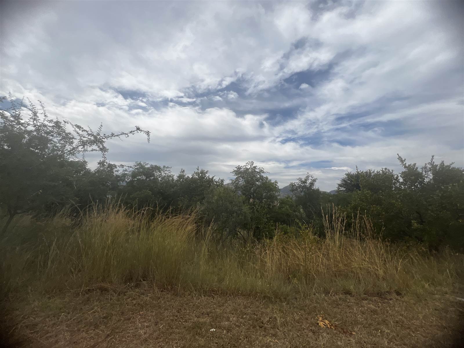 486 m² Land available in Seasons Lifestyle Estate photo number 3