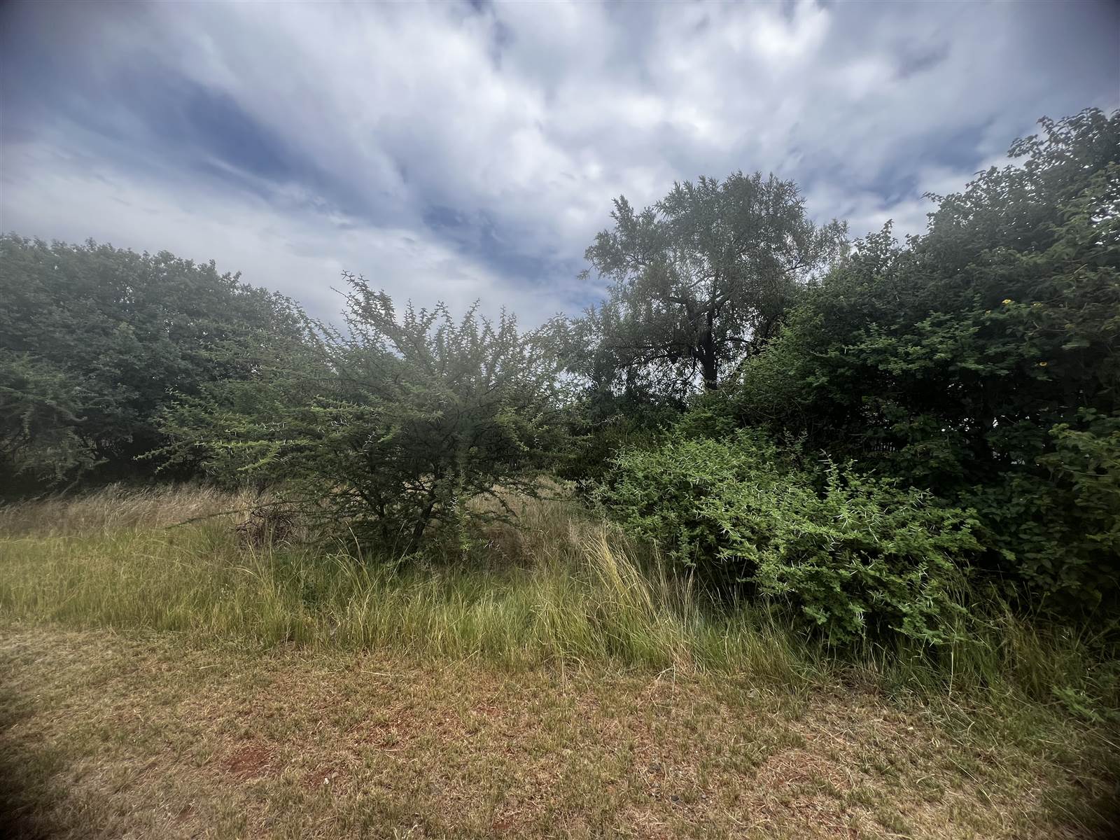 486 m² Land available in Seasons Lifestyle Estate photo number 5