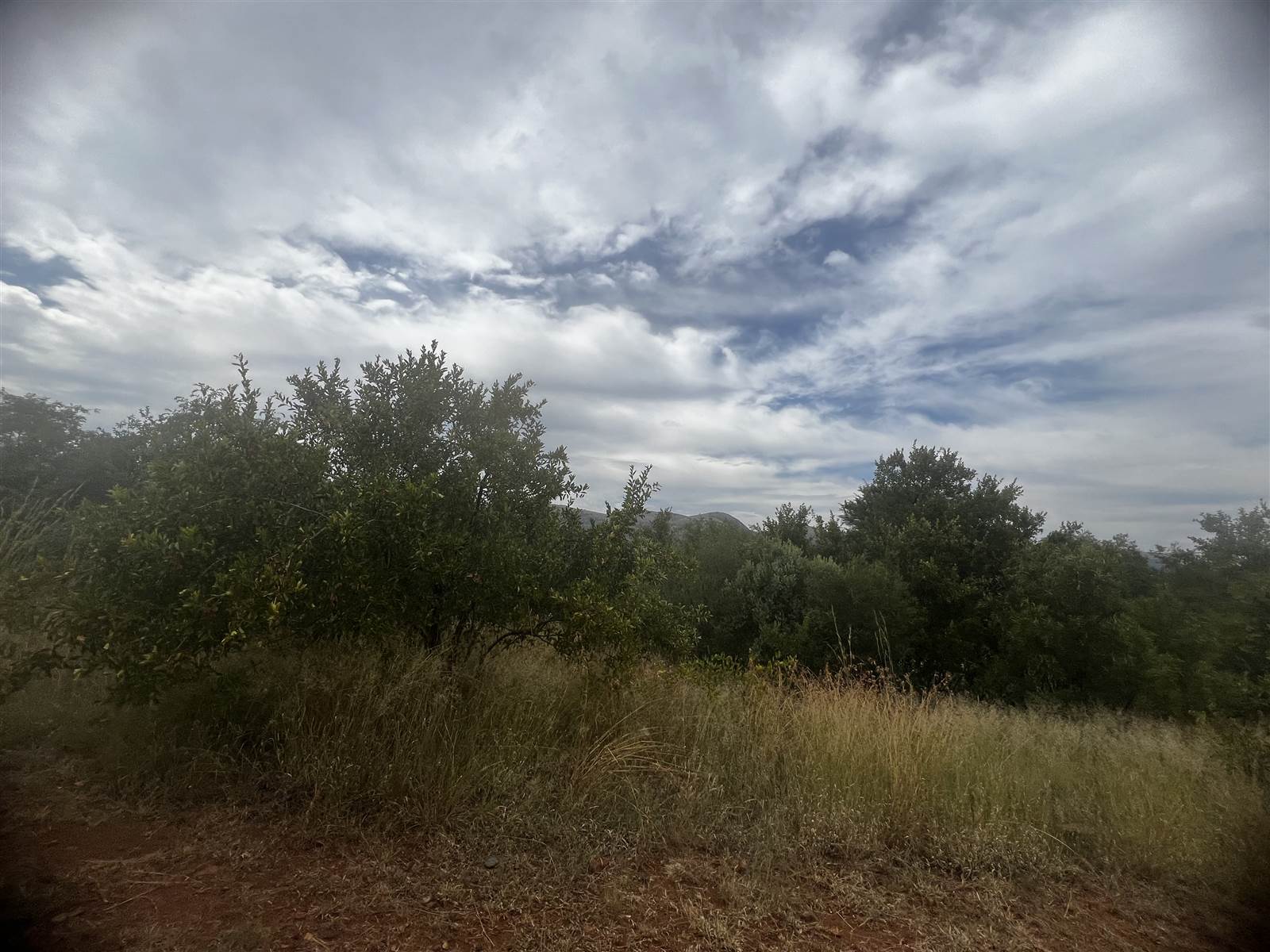 486 m² Land available in Seasons Lifestyle Estate photo number 4