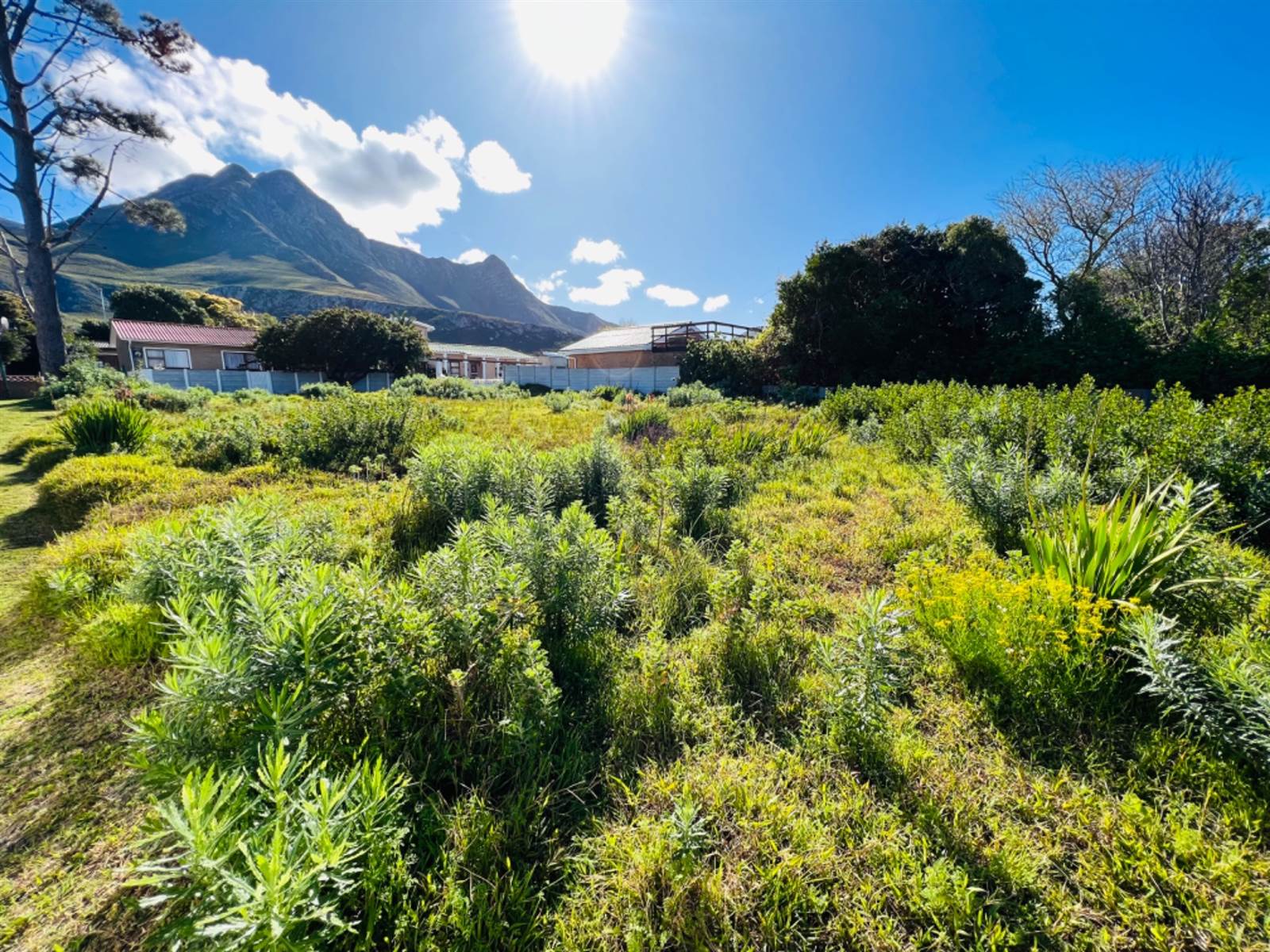 623 m² Land available in Kleinmond photo number 12