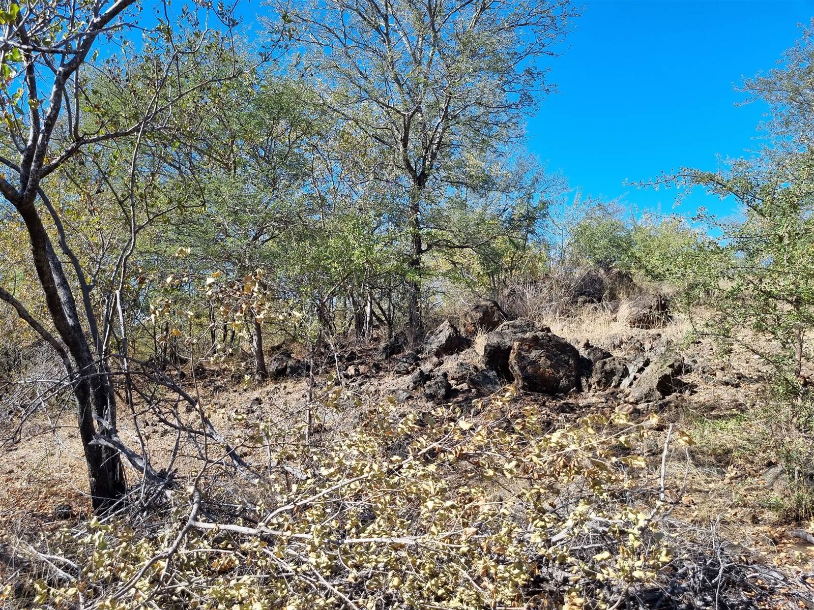 21 ha Land available in Parsons Game Reserve photo number 7
