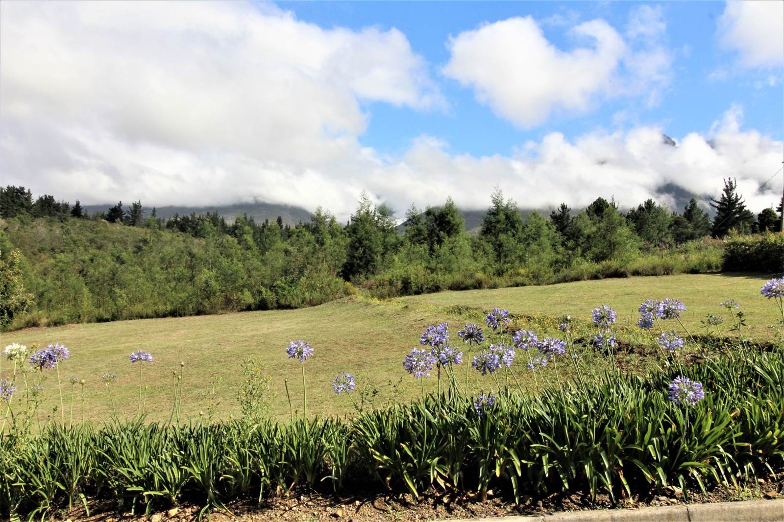 1000 m² Land available in Swellendam photo number 12