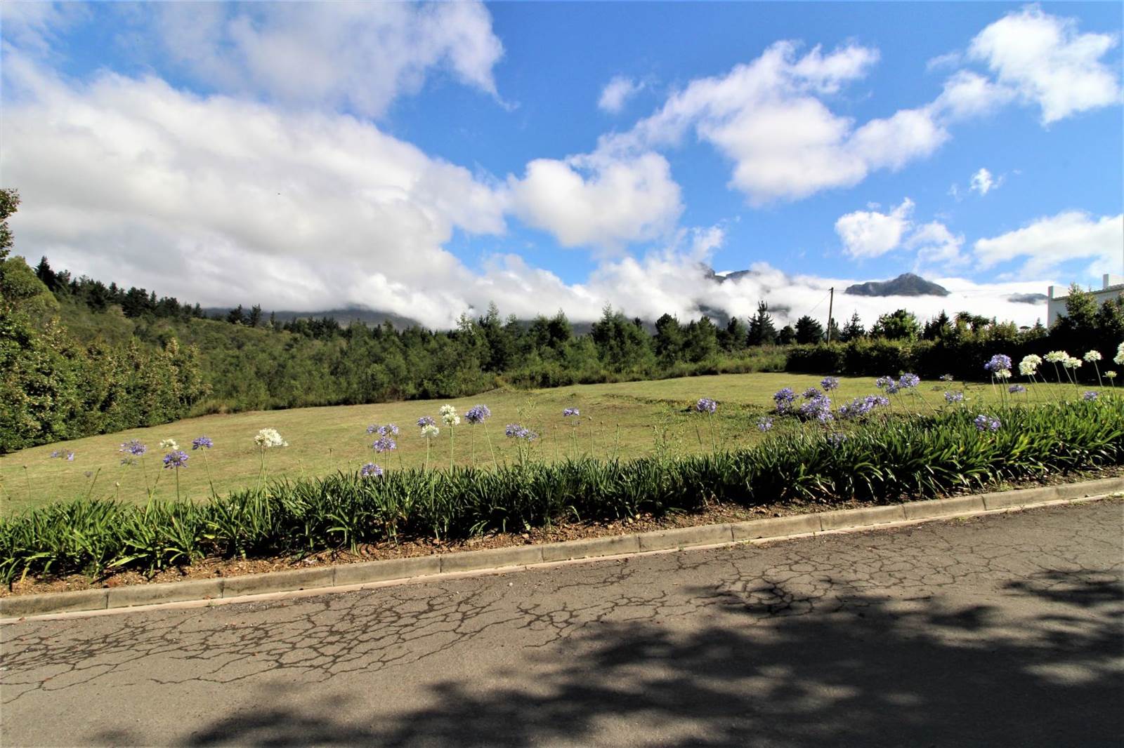 1000 m² Land available in Swellendam photo number 10