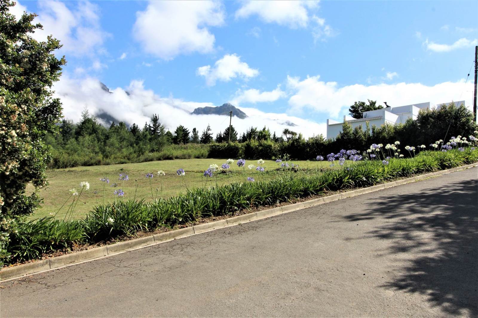 1000 m² Land available in Swellendam photo number 11