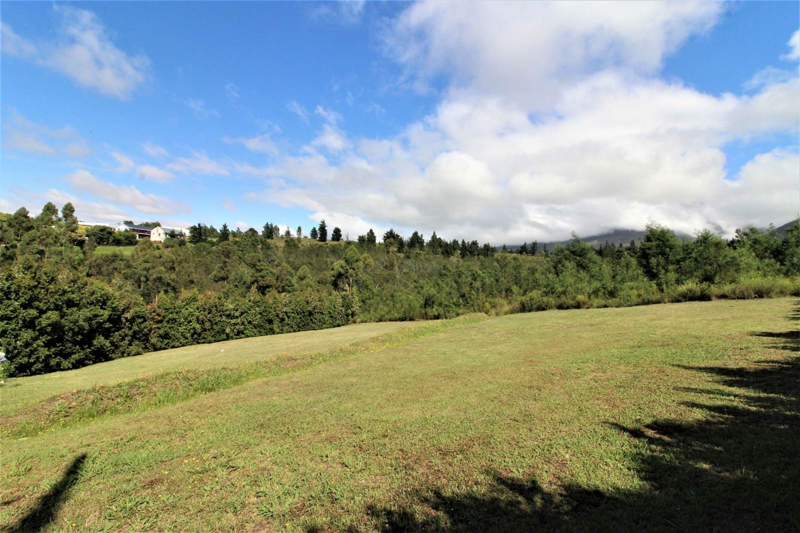1000 m² Land available in Swellendam photo number 7