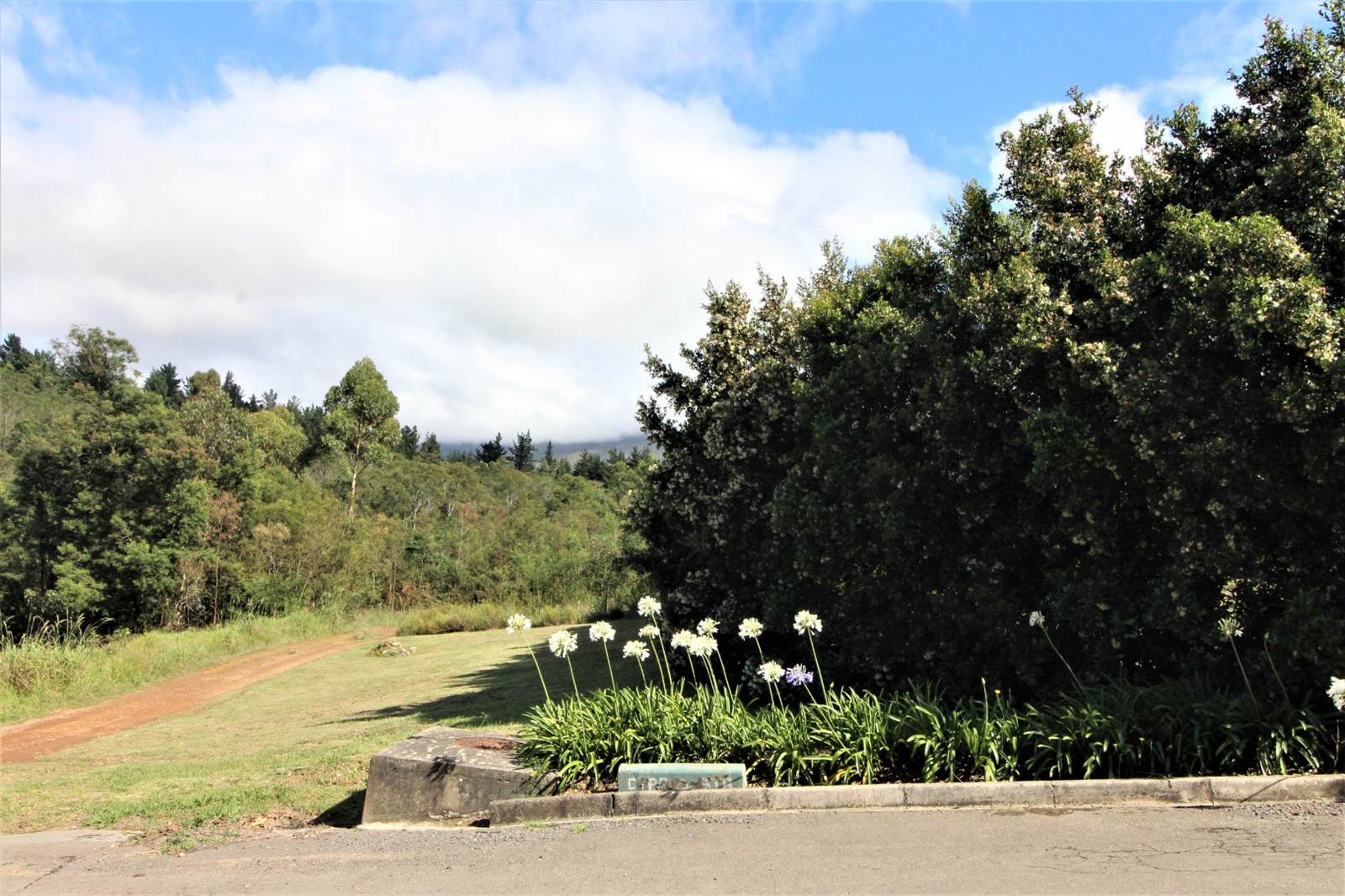 1000 m² Land available in Swellendam photo number 5