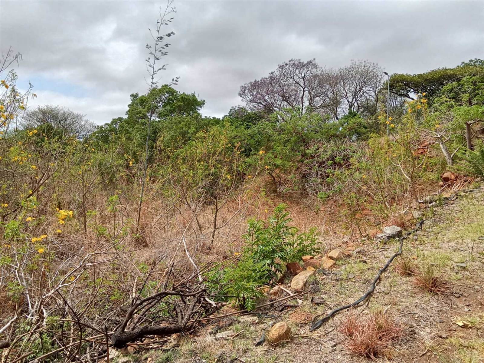 3051 m² Land available in Signal Hill photo number 3