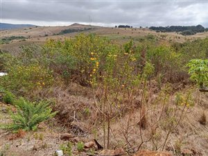 3051 m² Land available in Signal Hill