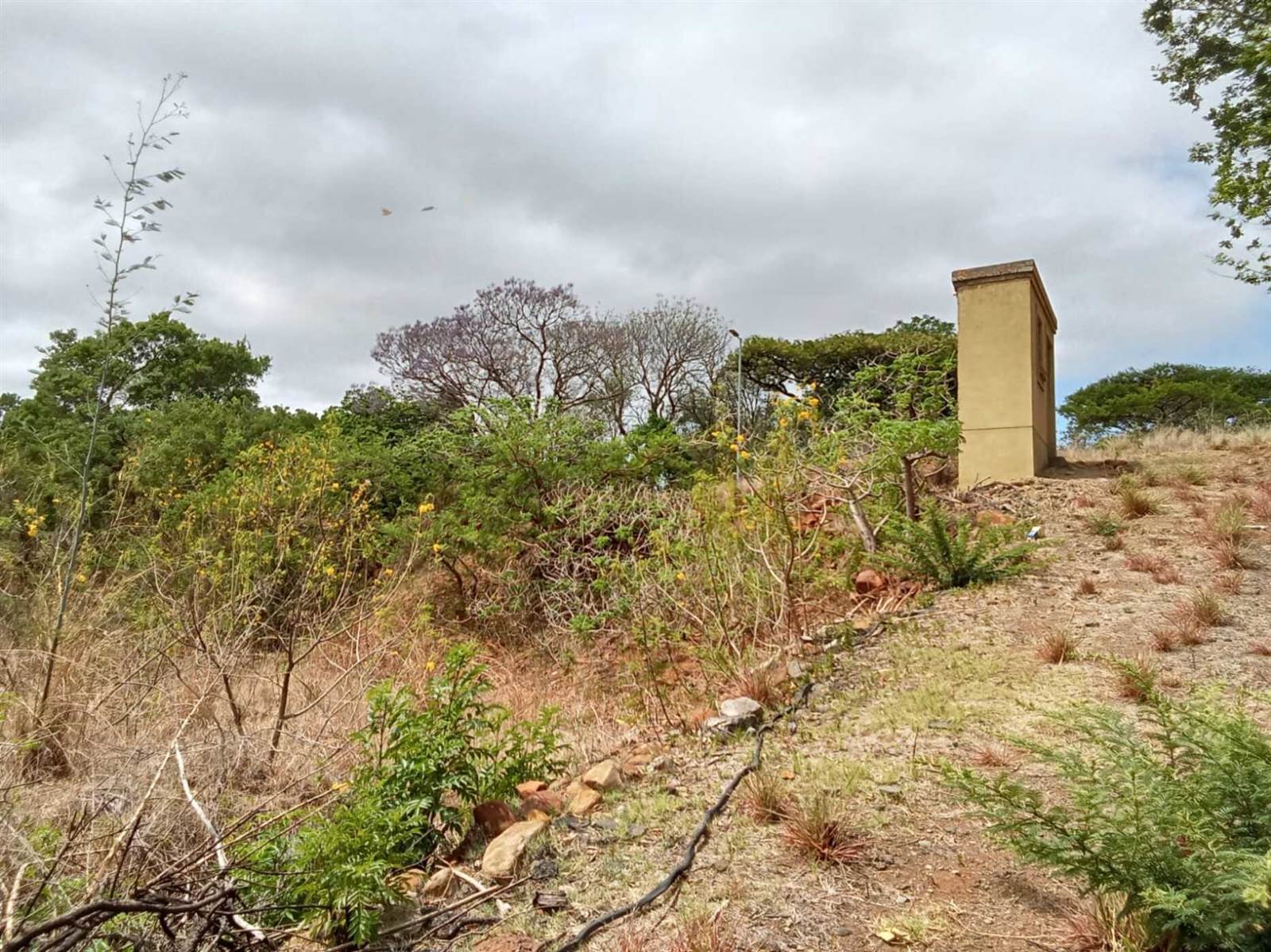 3051 m² Land available in Signal Hill photo number 4