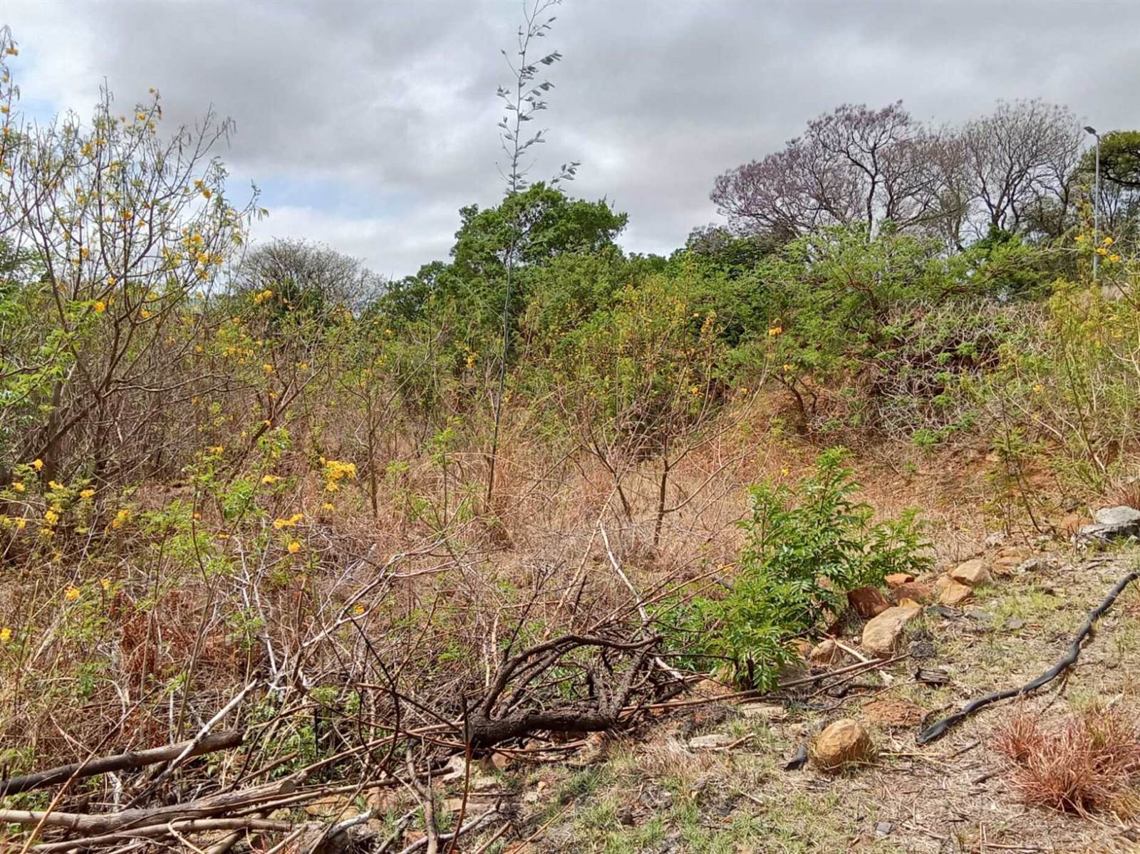 3051 m² Land available in Signal Hill photo number 5